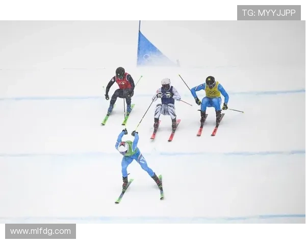 [冰雪]世界自由式滑雪锦标赛 障碍追逐.